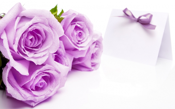Пурпурные розы