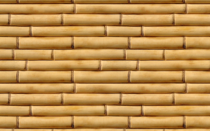 Стена из бамбука
