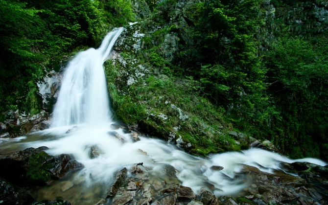 Лесной водопад