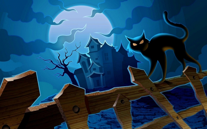 Замок и черный кот