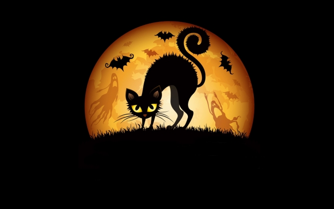 Черный кот в Хэллоуин