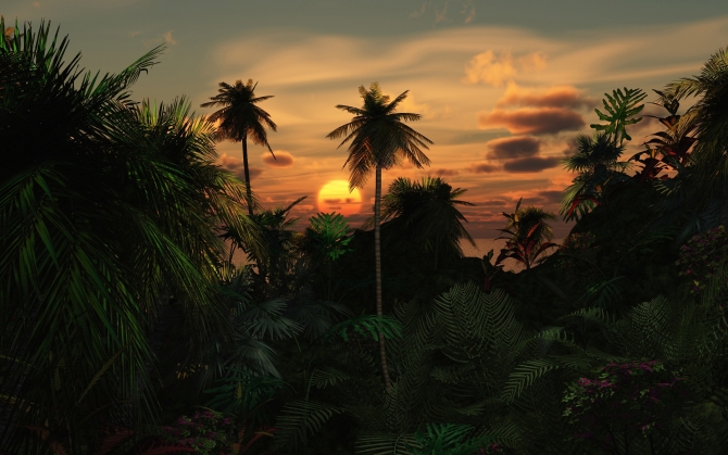 Закат над пальмами