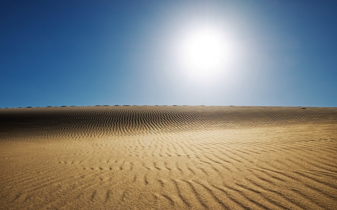 Солнце в пустыне