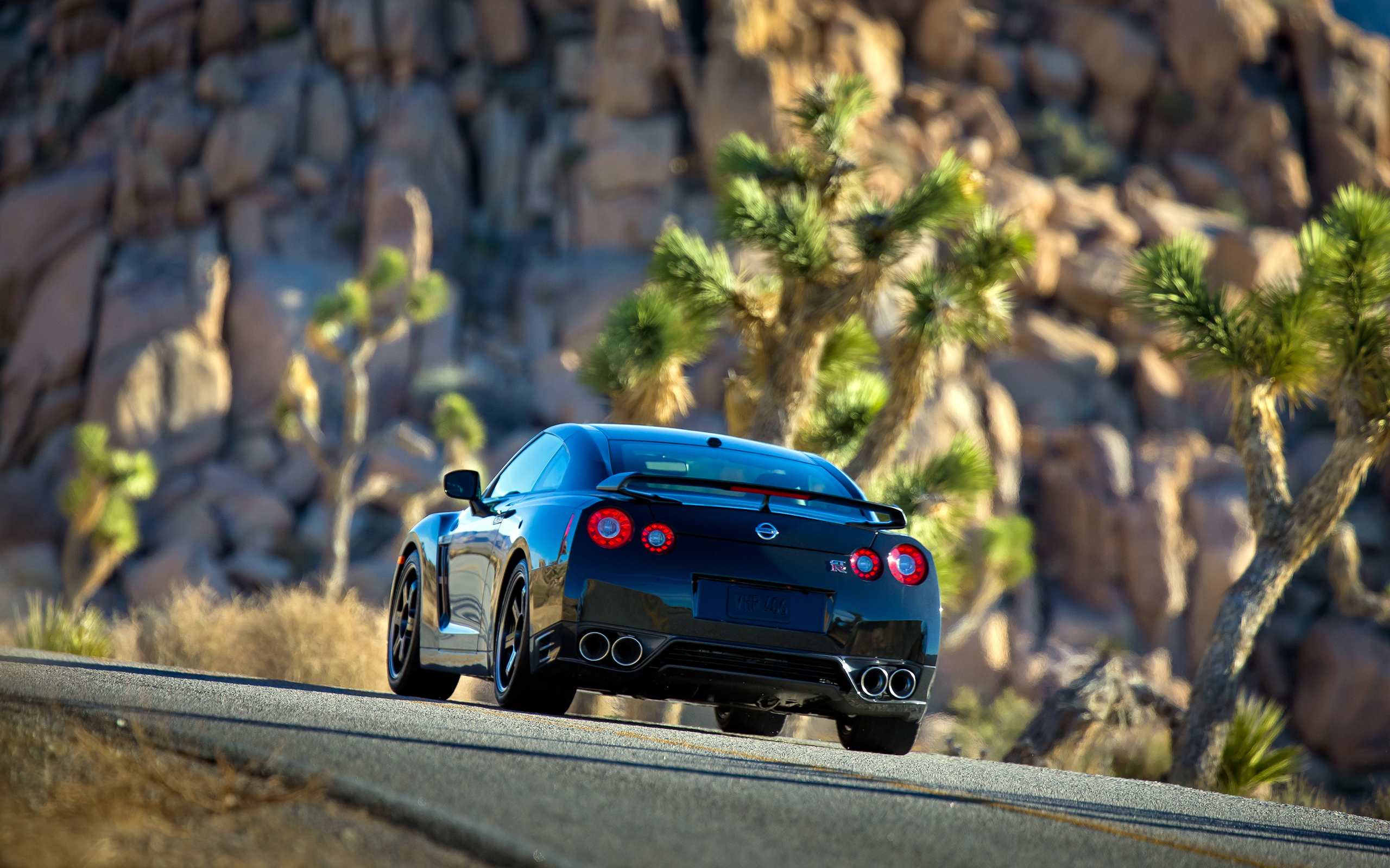 Nissan gtr сзади