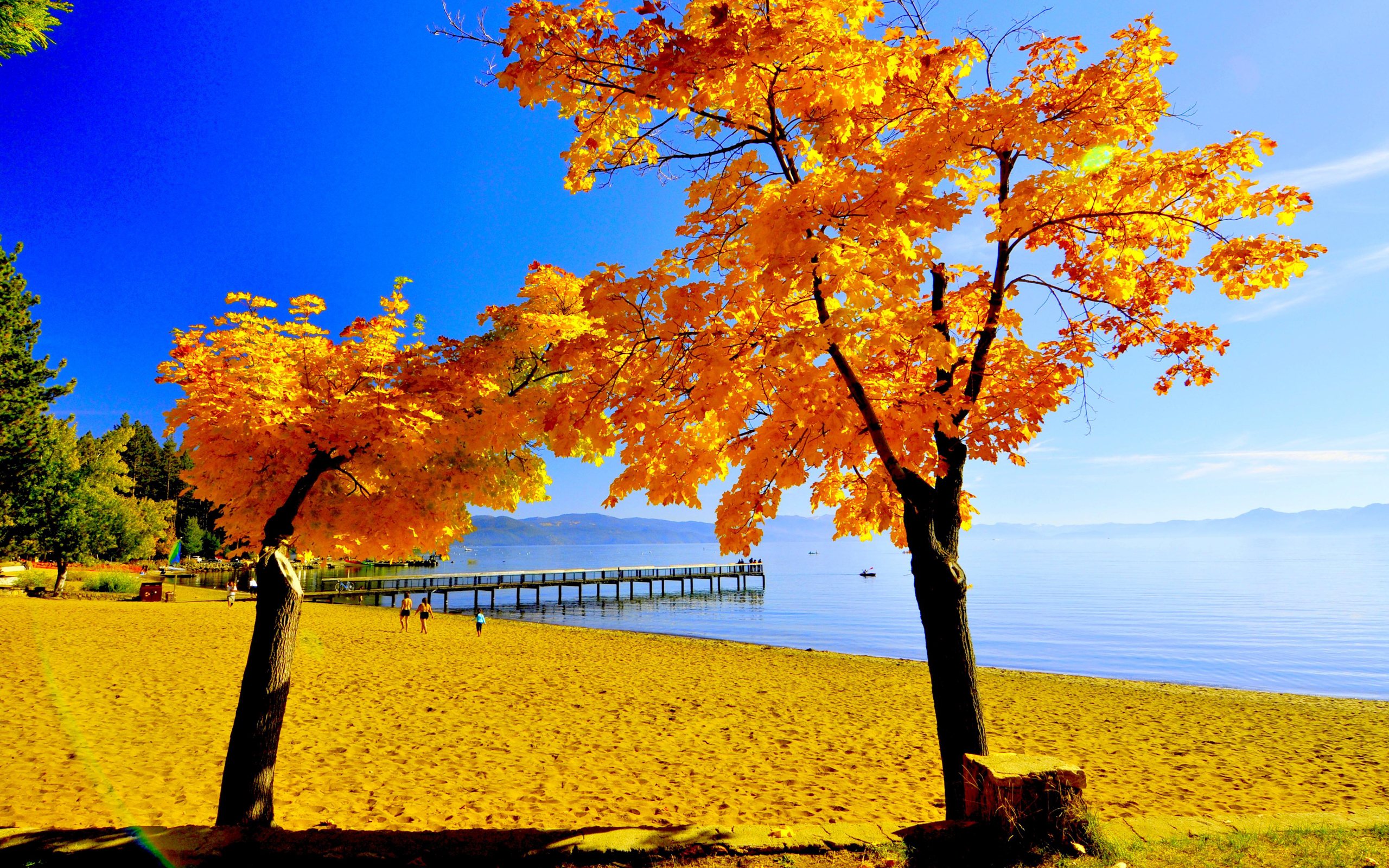 Осеннее Море Фото