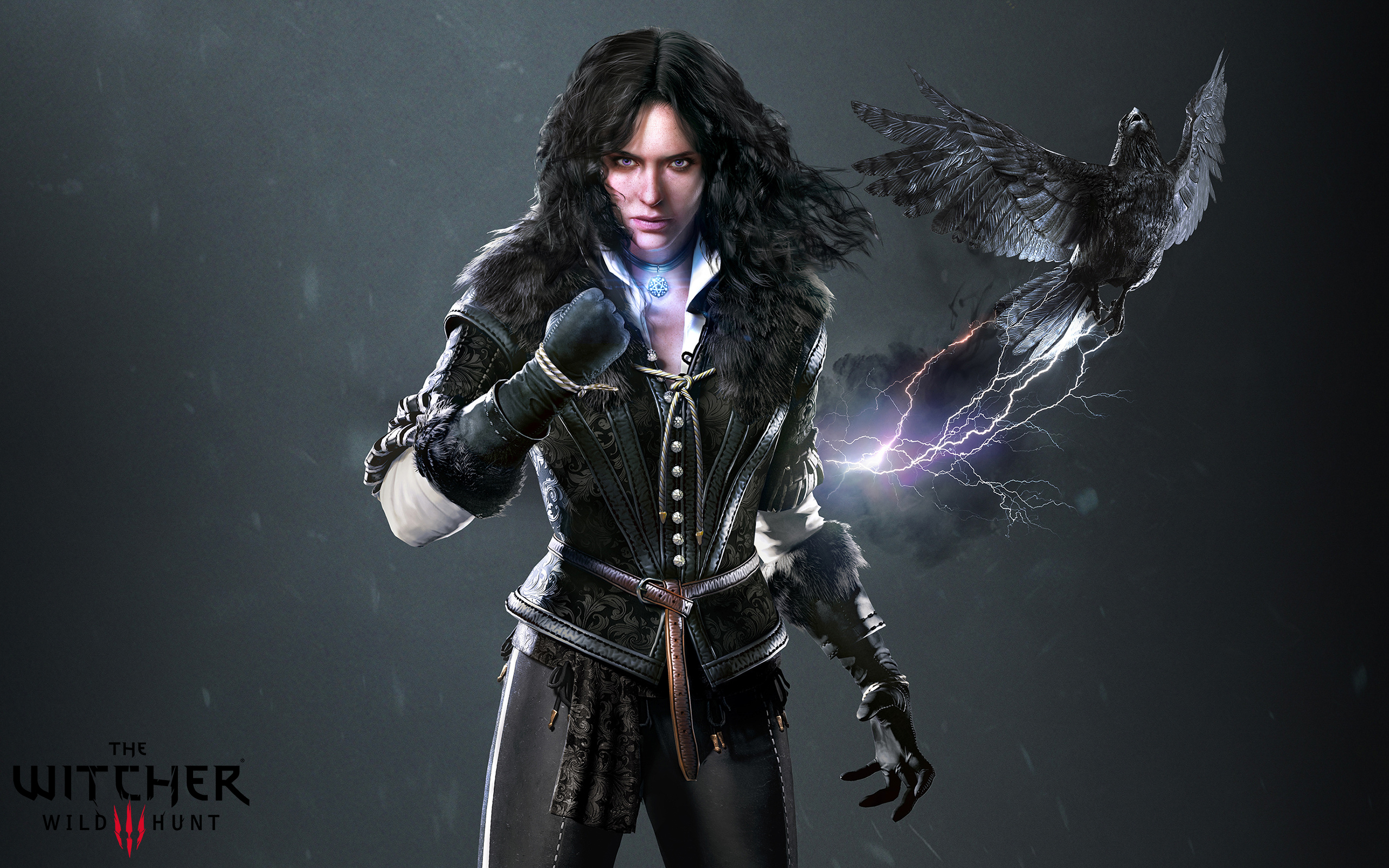 The Witcher 3 The Witcher 3