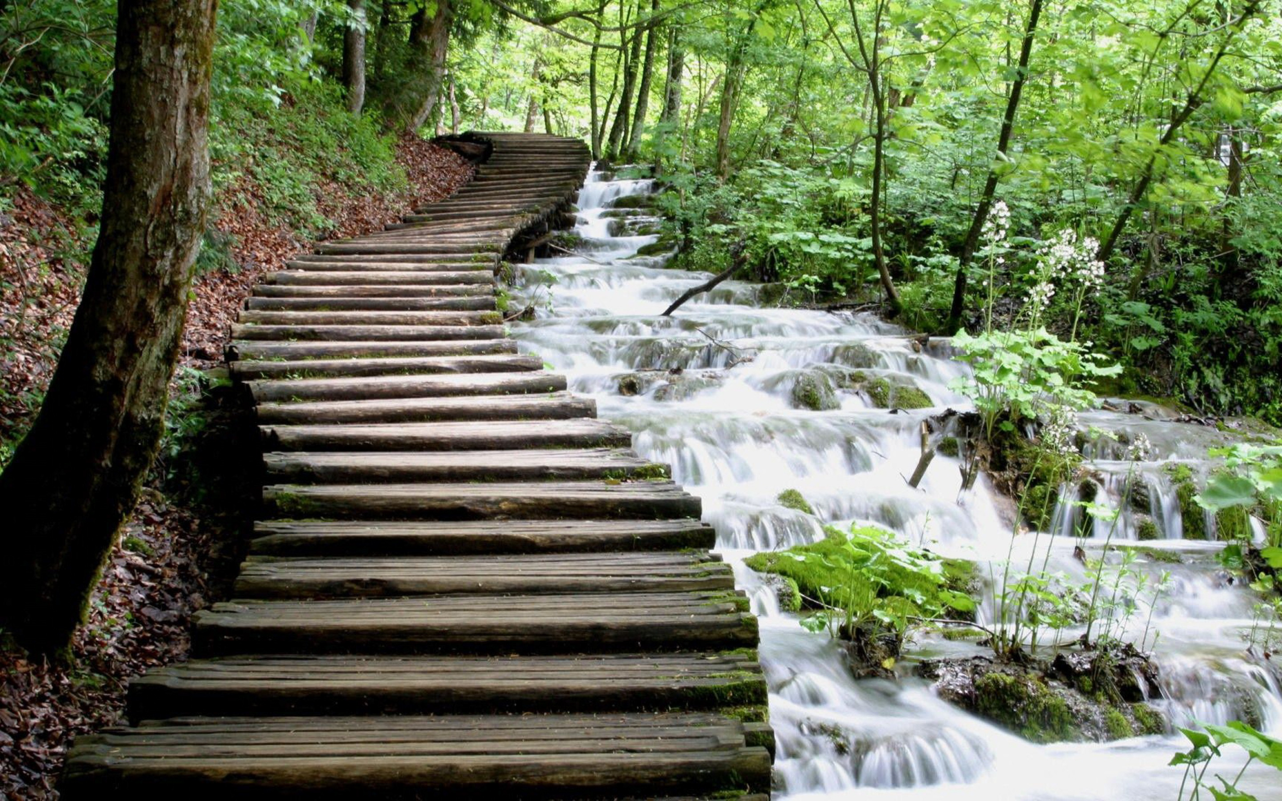 Лестницы на речке. Национальный парк Плитвицкие озёра тропа. Плитвицкие озера Хорватия мост. Плитвицкие озера тропы. Дорожки и тропы Плитвицкие озера.