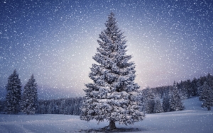 Большая елка и зимний снегопад