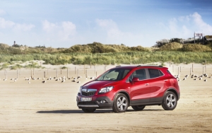 Mokka красного цвета