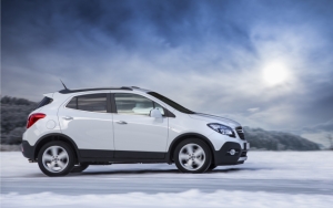 Белый Mokka зимой