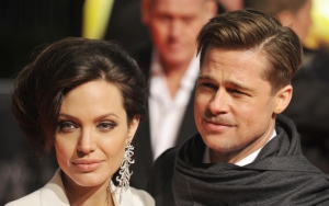 Пара Джолли Питт