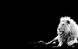 Черно-белый лев