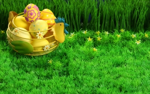 Желтые яйца