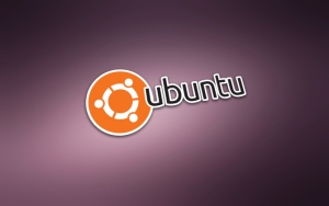 Ubuntu Linux