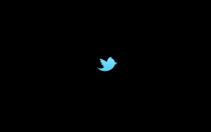 Птичка Твиттер
