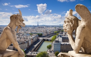 Гаргульи и Сена в Париже