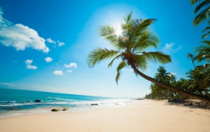 Море, солнце, пальма, пляж
