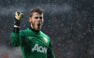 Давид Де Хеа в Манчестер Юнайтед