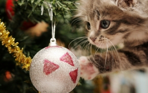 Котенок с ёлочной игрушкой