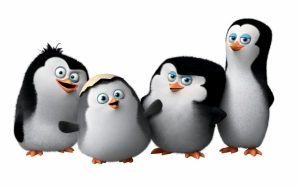 Маленькие пингвины Мадагаскара