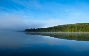 Озеро и лес